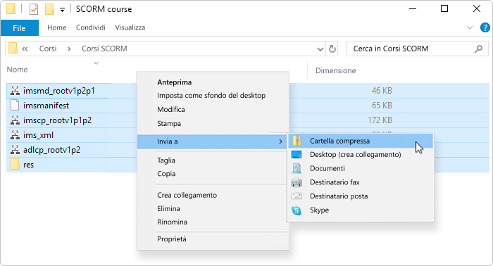 Cartella compressa (zip) della cartella root SCO